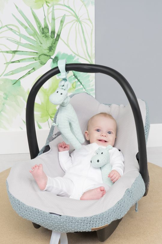 Giraffe Babyspielzeug