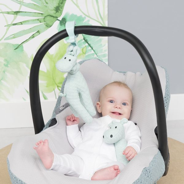 Giraffe Babyspielzeug