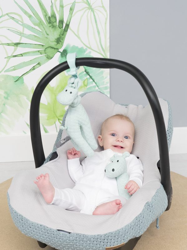 Giraffe Babyspielzeug